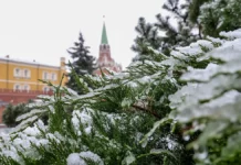 Снежная погода радует жителей Москвы 15 декабря snezhnaya pogoda raduet zhitelej moskvy 15 dekabrya-gazetart-ru-0