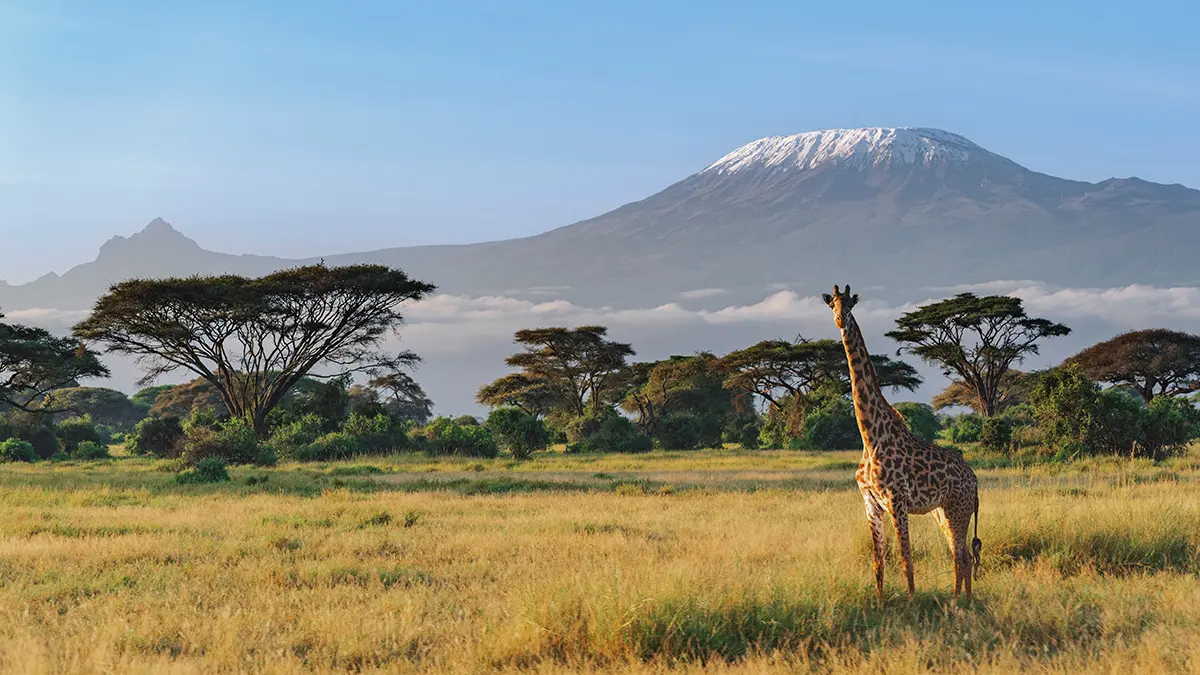 На горе Килиманджаро погибли пять человек из-за крушения вертолета