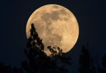 Суперлуние и Луна охотника порадуют наблюдателей в ноябре superlunie i luna ohotnika poraduyut nablyudatelej v noyabre-gazetart-ru-0