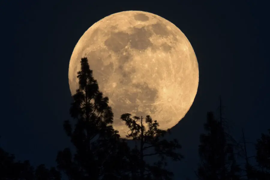 Суперлуние и Луна охотника порадуют наблюдателей в ноябре-0