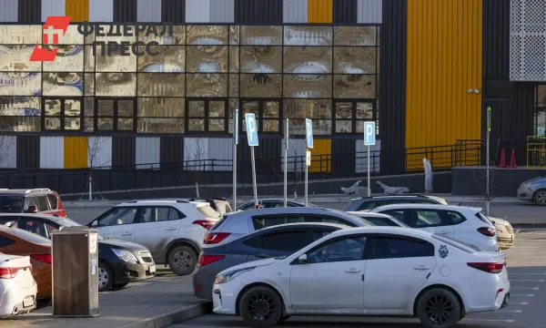 Светлана Виноградова прогнозирует цены на авто и Belgee X70 в 2026 году-0