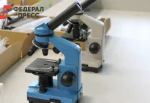 Триумф юных химиков вызывает гордость Дмитрия Чернышенко triumf yunyh himikov vyzyvaet gordost dmitriya chernyshenko-gazetart-ru-0