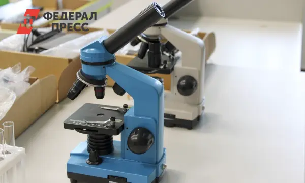 Триумф юных химиков вызывает гордость Дмитрия Чернышенко-0