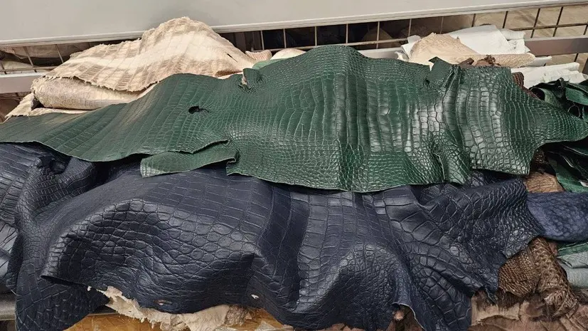 Таможенники Шереметьево нашли более 50 шкур крокодилов в багаже туриста из Китая