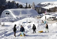 Твил сообщил о росте цен в Хамышках и Адыгее в зимний период tvil soobshhil o roste czen v hamyshkah i adygee v zimnij period-gazetart-ru-0