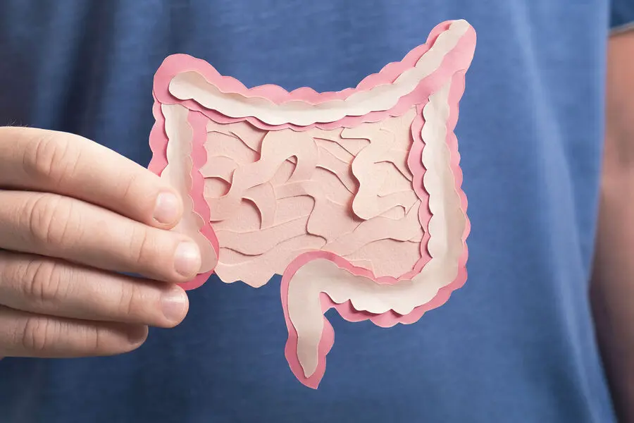 Ученые сделали новые открытия о водороде и микробиоме кишечника-0