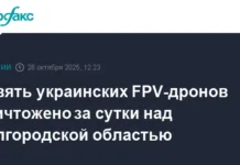 В Белгородской области за сутки сбили девять украинских FPV-дронов v belgorodskoj oblasti za sutki sbili devyat ukrainskih dronov-gazetart-ru-0
