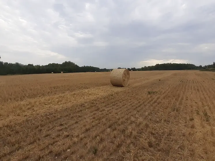 Вадим Шумков рассказал о новом рекорде аграриев