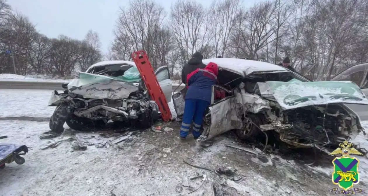 Женщина погибла в лобовом ДТП в Лесозаводске Пресс-служба УМВД России по Приморскому краю