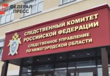 В Нижнем Новгороде следственный комитет расследует дело Сергея Егорова v nizhnem novgorode sledstvennyj komitet rassleduet delo sergeya egorova-gazetart-ru-0