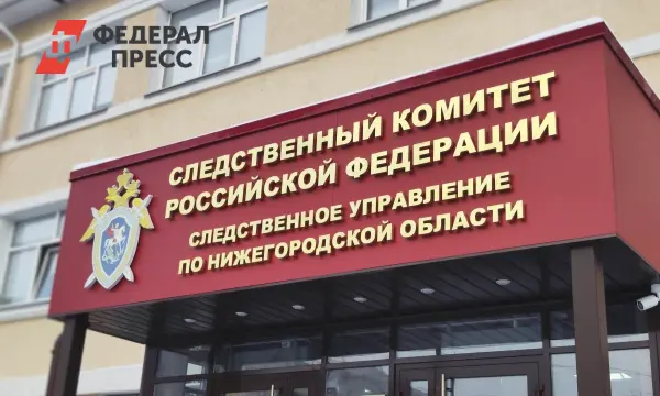 В Нижнем Новгороде следственный комитет расследует дело Сергея Егорова-0