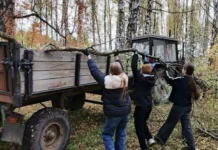В Свердловской области проходит акция «Зеленая роща» с участием Дениса Мамонтова v sverdlovskoj oblasti prohodit akcziya zelenaya roshha s uchastiem denisa mamontova-gazetart-ru-0
