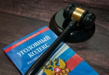 В Ярославской области мать признана виновной спустя 20 лет, благодаря работе УМВД России v yaroslavskoj oblasti mat priznana vinovnoj spustya 20 let blagodarya rabote umvd rossii-gazetart-ru-0