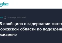 В Запорожской области задержан подозреваемый в госизмене, сообщает ФСБ v zaporozhskoj oblasti zaderzhan podozrevaemyj v gosizmene soobshhaet fsb-gazetart-ru-0