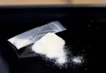 Во Владивостоке задержали наркокурьера, управлявшего Toyota Prius vo vladivostoke zaderzhali narkokurera upravlyavshego -gazetart-ru-0