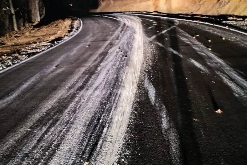 Вандал уничтожил свежую разметку на Русском Острове Пресс-служба ЦОДД