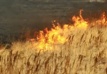 Жители Артема и полиция предотвратили серьезный пожар zhiteli artema i policziya predotvratili sereznyj pozhar-gazetart-ru-0