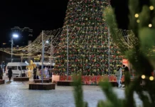 Администрация Владивостока временно закрывает новогодний городок из-за сильного снегопада administracziya vladivostoka vremenno zakryvaet novogodnij gorodok izza silnogo snegopada-gazetart-ru-0