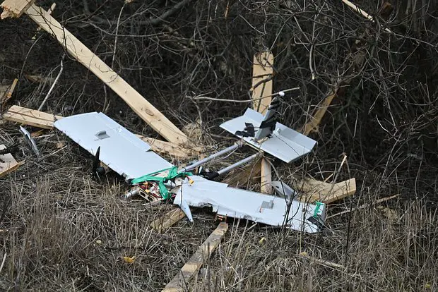 Вводная картинка