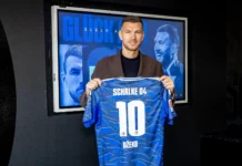 edin dzheko iz bosnii i gerczegoviny nachinaet etap v nemeczkom shalke-gazetart-ru-0