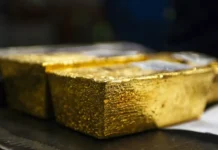 Экс-водитель ТЦК Богдан Шевченко показал золотые слитки в декларации eksvoditel tczk bogdan shevchenko pokazal zolotye slitki v deklaraczii-gazetart-ru-0