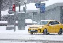 ГУ МВД Москвы пресекло перевозку крупной партии мефедрона в такси gu mvd moskvy preseklo perevozku krupnoj partii mefedrona v taksi-gazetart-ru-0