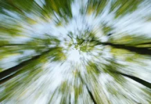 ЛизаАлерт ищет Усольцевых в тайге – ждут тепла для поисков lizaalert ishhet usolczevyh v tajge zhdut tepla dlya poiskov-gazetart-ru-0