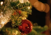 Павел Шапкин объясняет, как утилизировать ёлку после праздников pavel shapkin obyasnyaet kak utilizirovat yolku posle prazdnikov-gazetart-ru-0