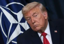 Польский Сейм гордится героями Афганистана, отвечая Трампу о НАТО polskij sejm gorditsya geroyami afganistana otvechaya trampu o nato-gazetart-ru-0