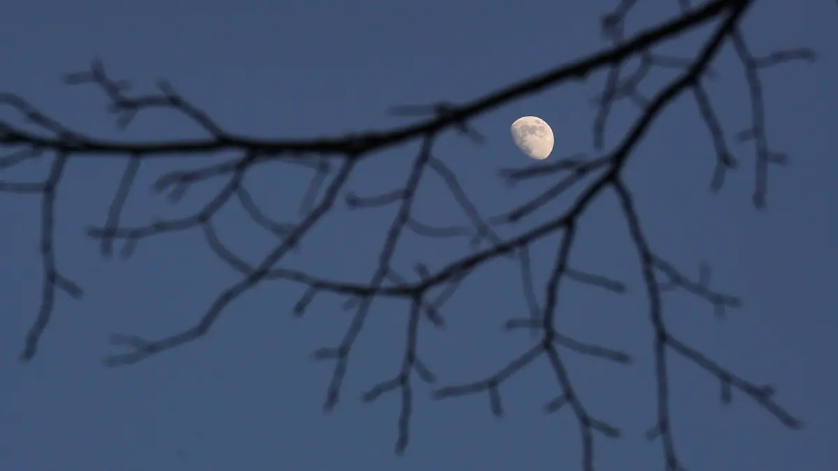 Эксперт: Аналог Starlink «Рассвет» изменит систему управления войсками