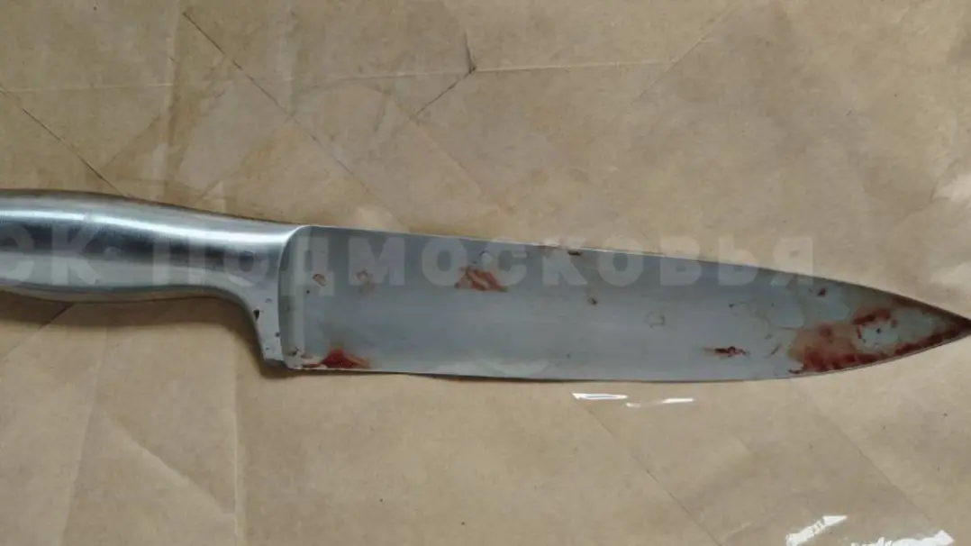 Жительницу Подмосковья, зарезавшую мужа по пьяни, арестовали