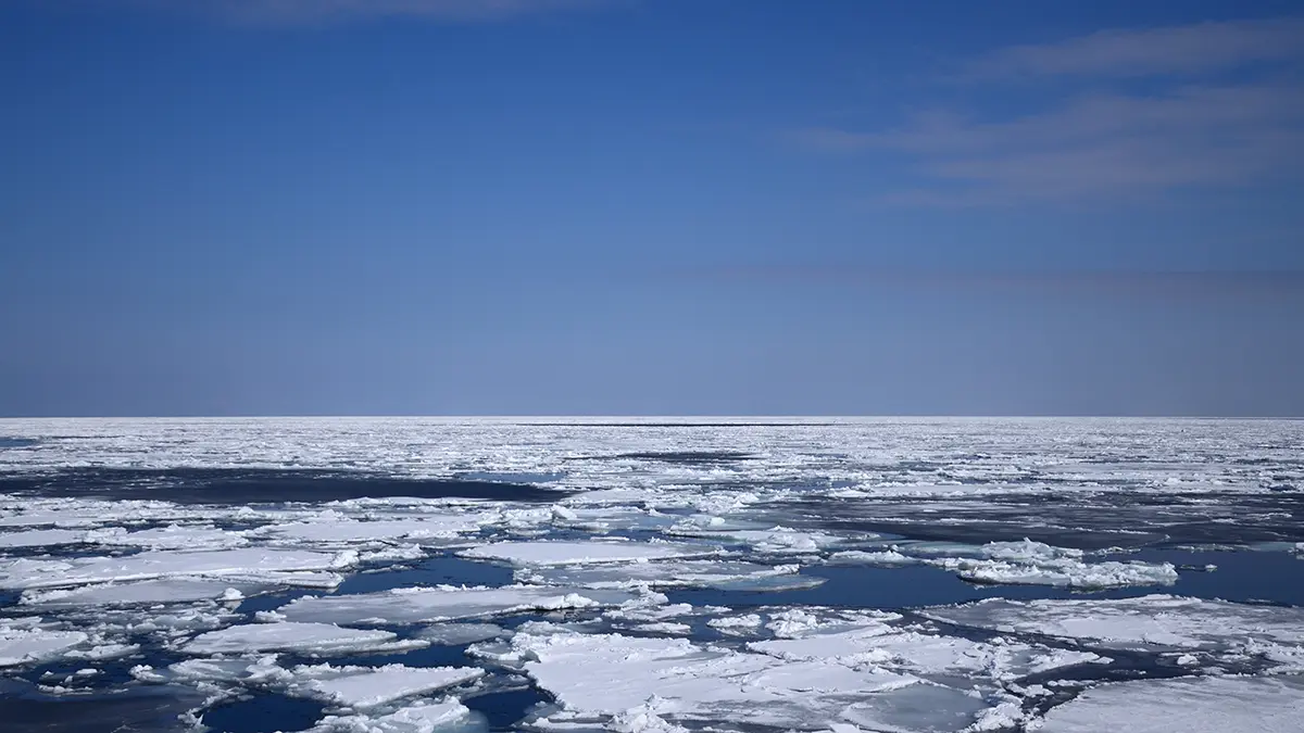 В Ленобласти льдину с рыбаками унесло в Финский залив