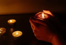 Судьба Биби, Queen и Фредди Меркьюри, память о Брижит Бардо sudba bibi i freddi merkyuri pamyat o brizhit bardo-gazetart-ru-0