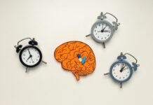 Как связаны внутренние часы и болезнь Альцгеймера? Три будильника и мозг с таблетками