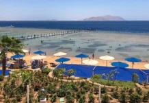 Владислав Ревенко, Никита Таланов – надежда для истории в Египте vladislav revenko nikita talanov nadezhda dlya istorii v egipte-gazetart-ru-0