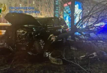 Lexus возместит ущерб за сбитый каштан после гонки на Кутузовском проспекте vozmestit ushherb za sbityj kashtan posle gonki na kutuzovskom prospekte-gazetart-ru-0