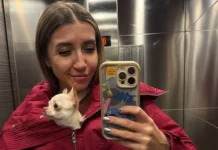 Екатерина Позова о разводе с Дмитрием Позовым из «Импровизаторов» ekaterina pozova o razvode s dmitriem pozovym iz improvizatorov-gazetart-ru-0