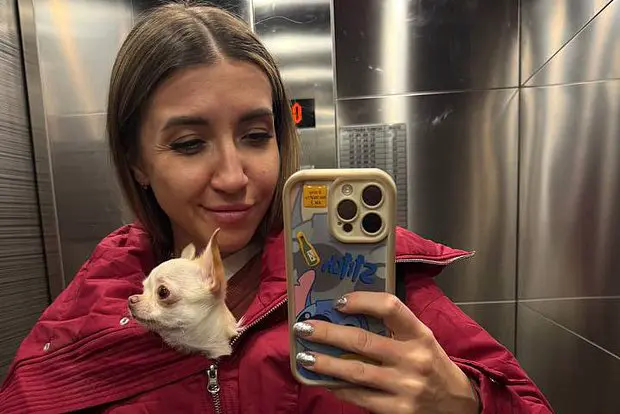 Вводная картинка