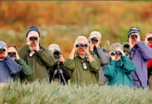 Эрик Винг об открытии Йоркского университета: птицы влияют на мозг erik ving ob otkrytii jorkskogo universiteta pticzy vliyayut na mozg-gazetart-ru-0