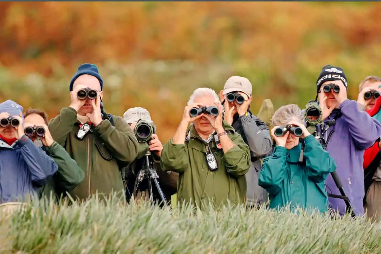 Эрик Винг об открытии Йоркского университета: птицы влияют на мозг-0