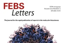 ФИЦ Биотехнологии РАН и SIAT раскрыли структуру LH2 у галоалкалифил ficz biotehnologii ran i raskryli strukturu 2 u galoalkalifil-gazetart-ru-0