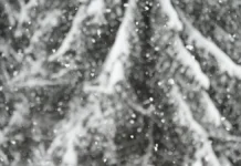 Гидрометцентр и Фобос ожидают в Москве и Подмосковье мягкую зиму gidrometczentr i fobos ozhidayut v moskve i podmoskove myagkuyu zimu-gazetart-ru-0