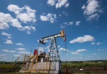 Индия продолжает покупать российскую нефть – мнение Александры Херманн indiya prodolzhaet pokupat rossijskuyu neft mnenie aleksandry hermann-gazetart-ru-0