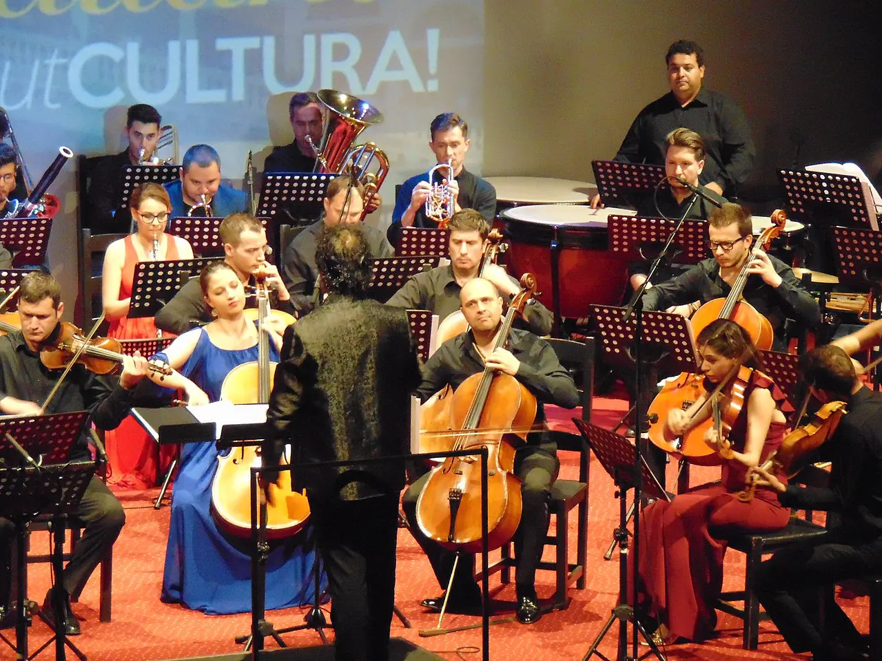 Институт психолингвистики раскрывает генетику мурашек от искусства-0