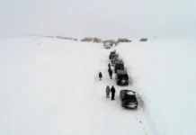 Китайские туристы в Териберке хорошо пережили метель kitajskie turisty v teriberke horosho perezhili metel-gazetart-ru-0