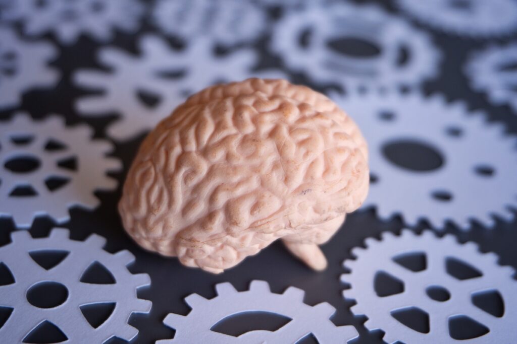 Крупный план модели человеческого мозга с бумажными шестеренками