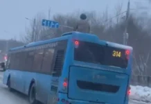 Максим Ликсутов заявил: безопасность пассажиров автобуса №314 обеспечена maksim liksutov zayavil bezopasnost passazhirov avtobusa 314 obespechena-gazetart-ru-0