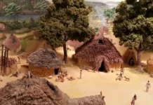 Машинное обучение раскрывает тайны пшеницы и ячменя на Ближнем Востоке mashinnoe obuchenie raskryvaet tajny psheniczy i yachmenya na blizhnem vostoke-gazetart-ru-0