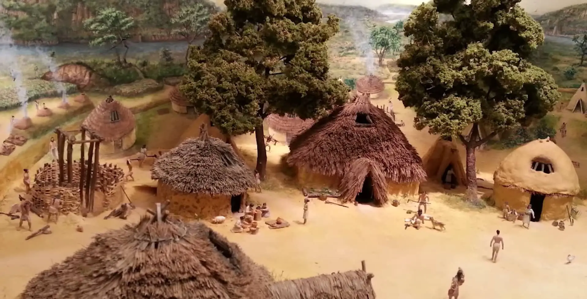 Машинное обучение раскрывает тайны пшеницы и ячменя на Ближнем Востоке-0