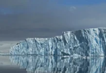 novaya nadezhda dlya lednika tuejts  proekt   -gazetart-ru-0